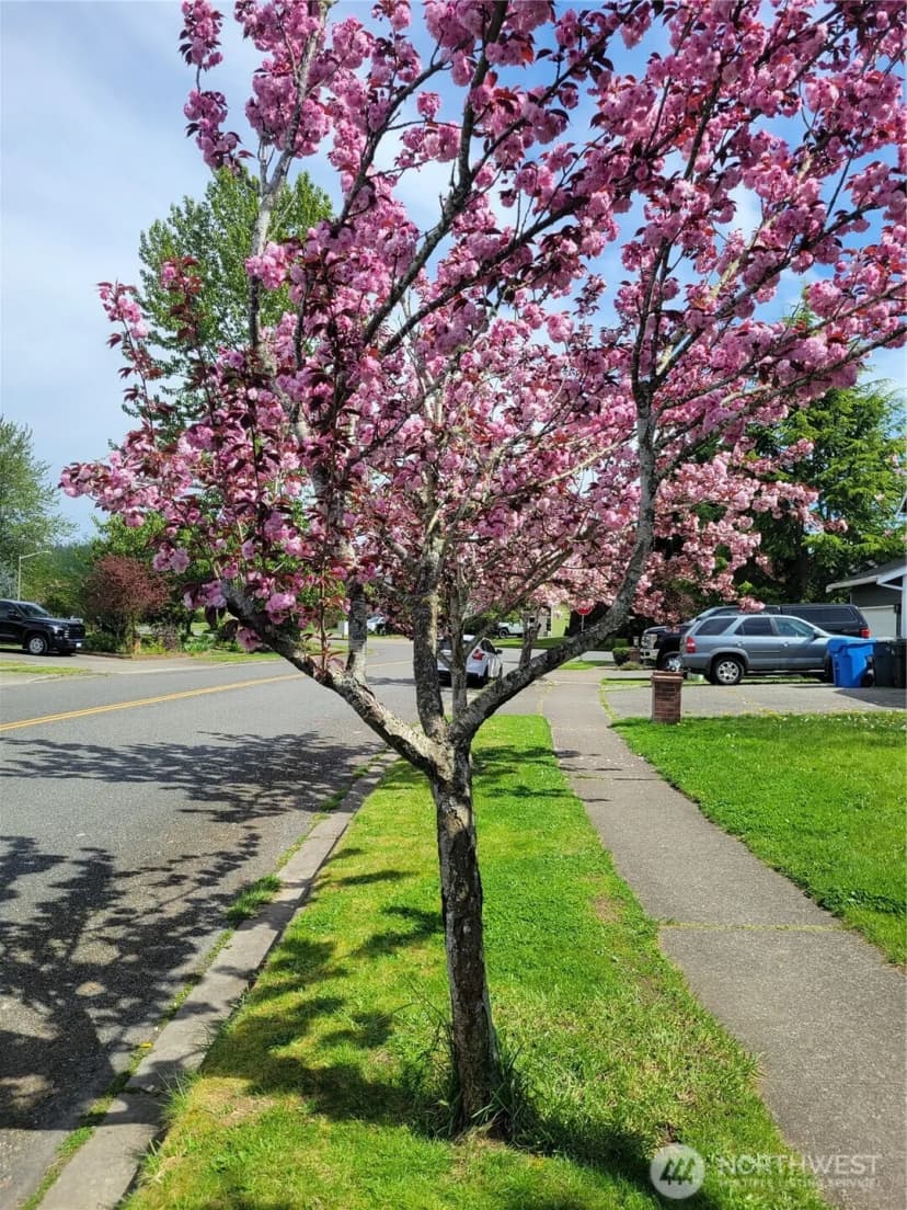 Property photo for 506 Skinner Way Sw, Orting photo 4