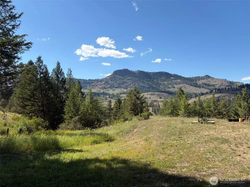 Property photo for 88 Little Bear Road, Republic photo 20