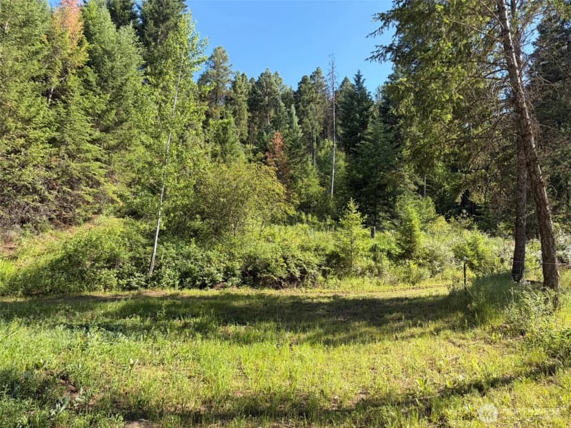Property photo for 88 Little Bear Road, Republic photo 35
