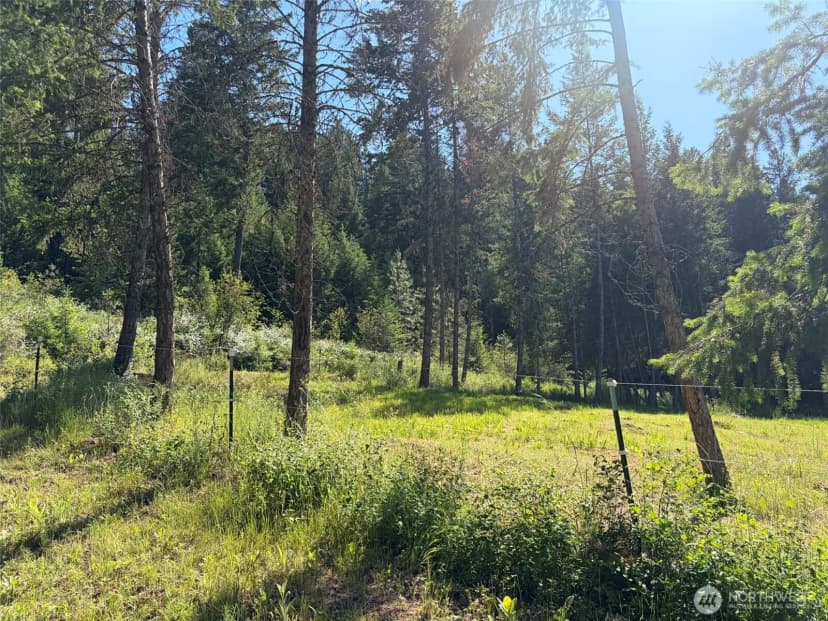 Property photo for 88 Little Bear Road, Republic photo 36