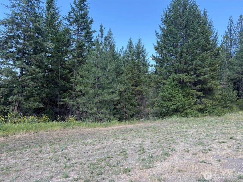 Property photo for 88 Little Bear Road, Republic photo 27