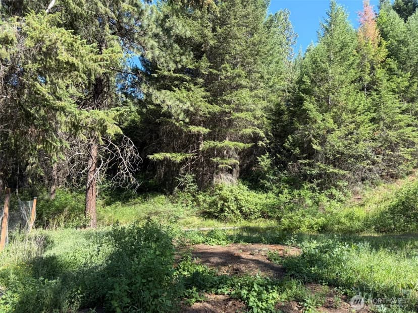 Property photo for 88 Little Bear Road, Republic photo 34