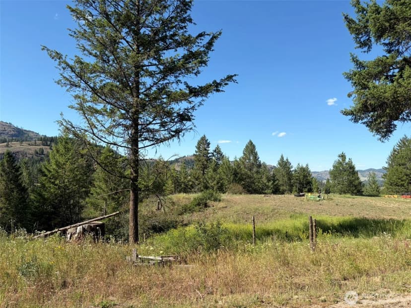 Property photo for 88 Little Bear Road, Republic photo 38
