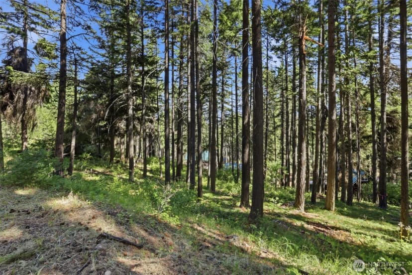 Property photo for 20 Lot, Cle Elum photo 10