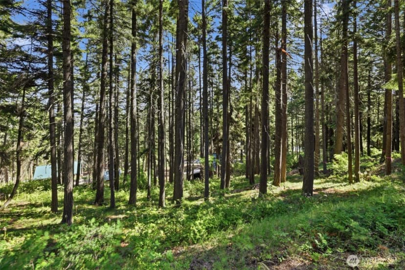 Property photo for 20 Lot, Cle Elum photo 11