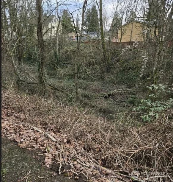 Property photo for 8027 S Yakima Avenue, Tacoma photo 4