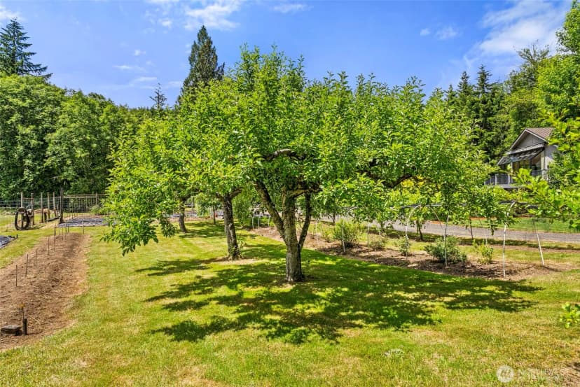 Property photo for 1677 North Fork Road, Chehalis photo 34