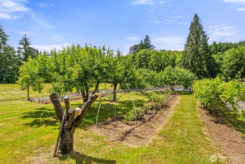 Property photo for 1677 North Fork Road, Chehalis photo 37