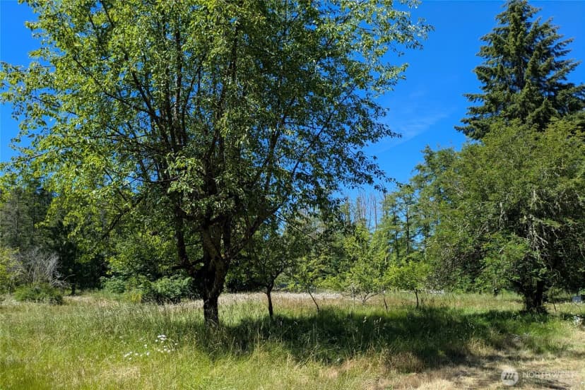 Property photo for 1082 Taylor Cutoff Road, Sequim photo 25