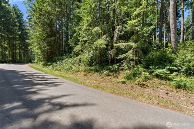 Property photo for 11103 Leschi Circle, Anderson Island photo 3