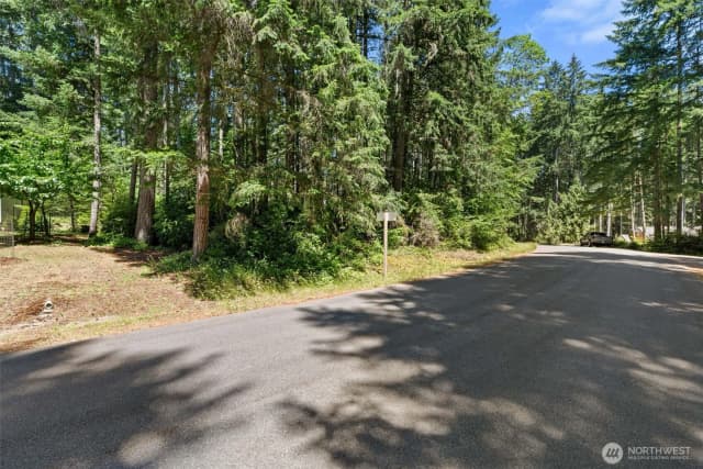 Property photo for 11103 Leschi Circle, Anderson Island photo 4