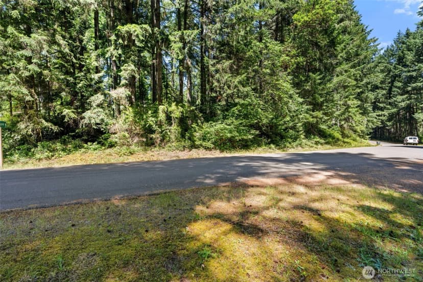 Property photo for 11103 Leschi Circle, Anderson Island photo 2