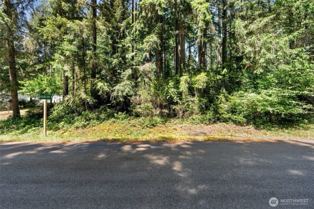 Property photo for 11103 Leschi Circle, Anderson Island photo 5