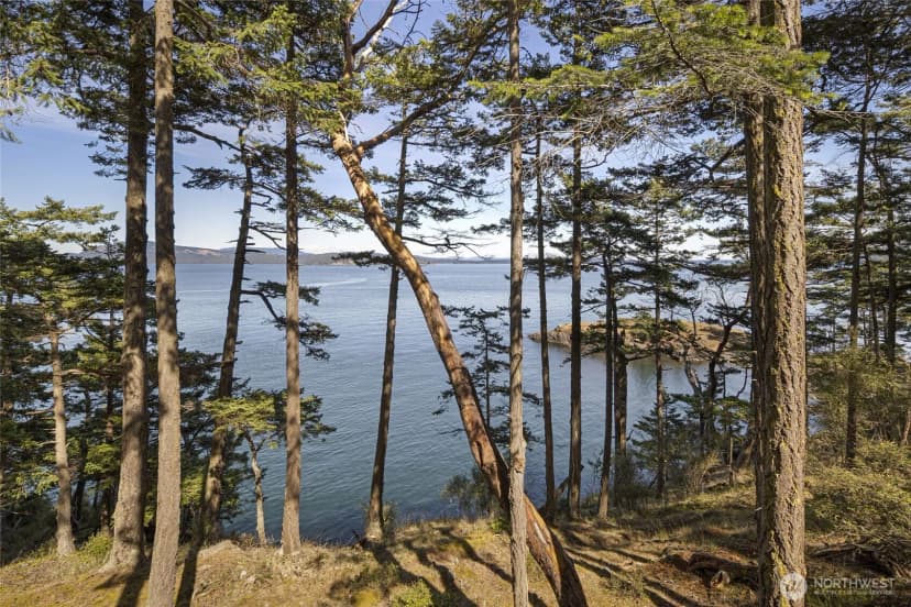 Property photo for 976 San Juan Drive, Friday Harbor photo 38