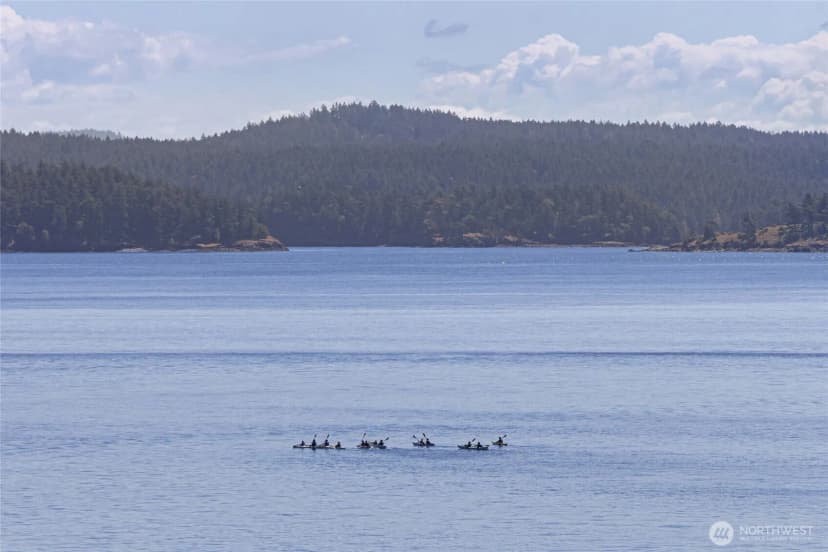 Property photo for 976 San Juan Drive, Friday Harbor photo 39