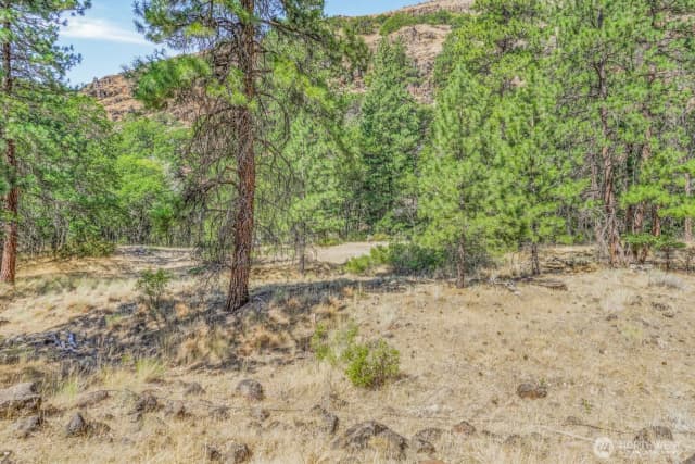 Property photo for 0 04181100000700, Goldendale