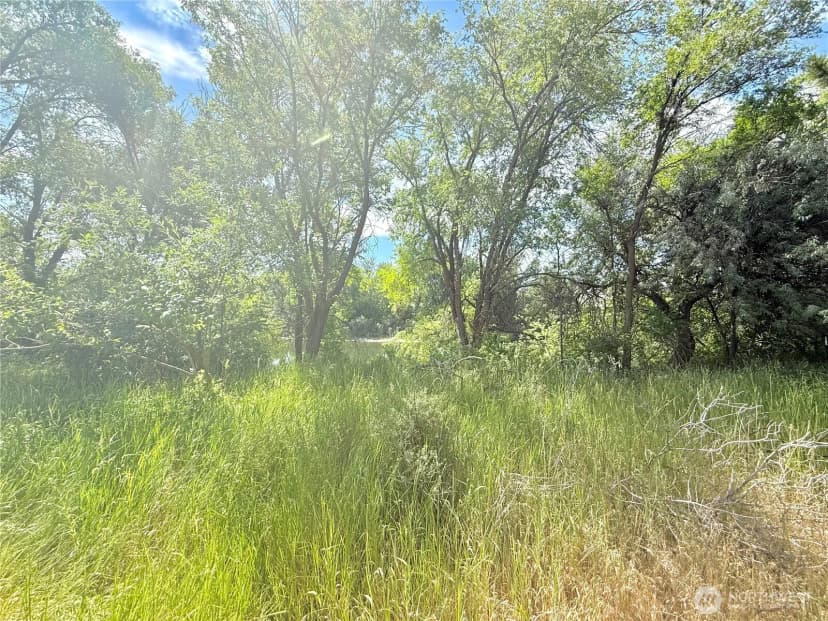 Property photo for 2050 James Avenue, Okanogan photo 31