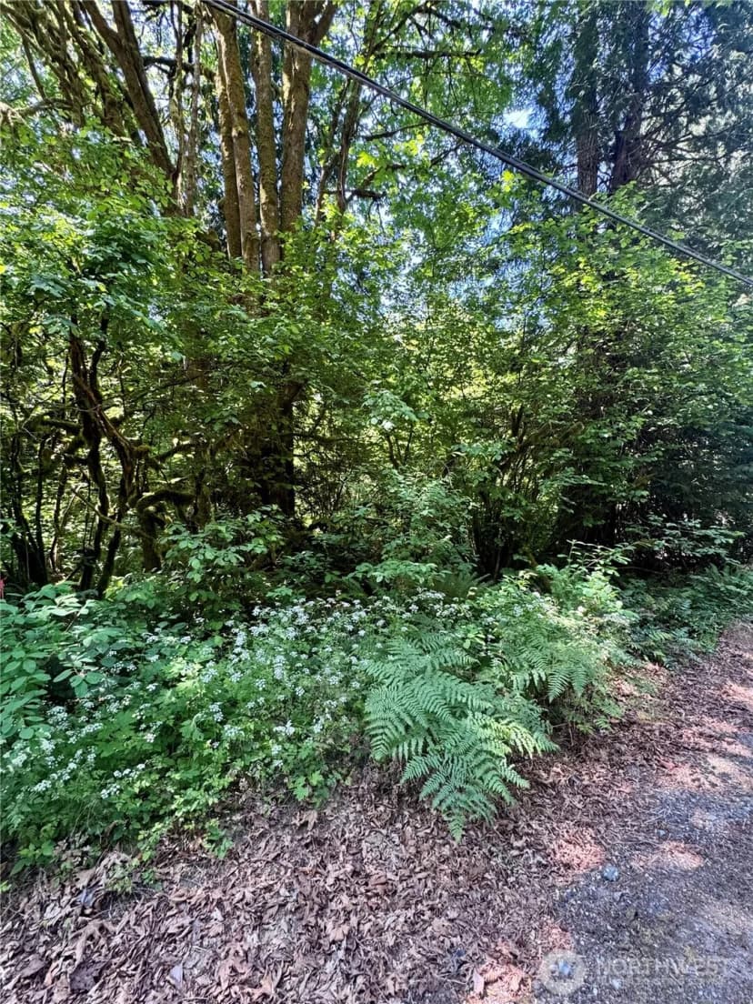Property photo for 12014 126th Avenue Nw, Gig Harbor