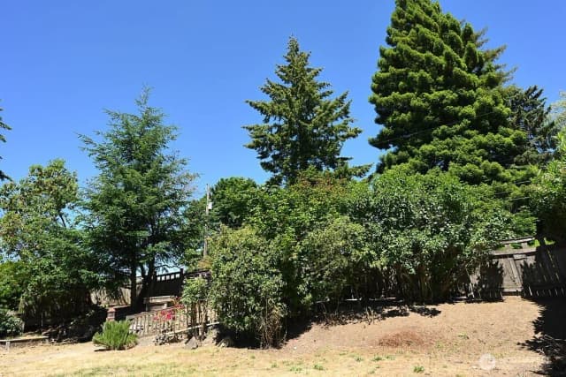 Property photo for 14323 12th Avenue Sw, Burien photo 4