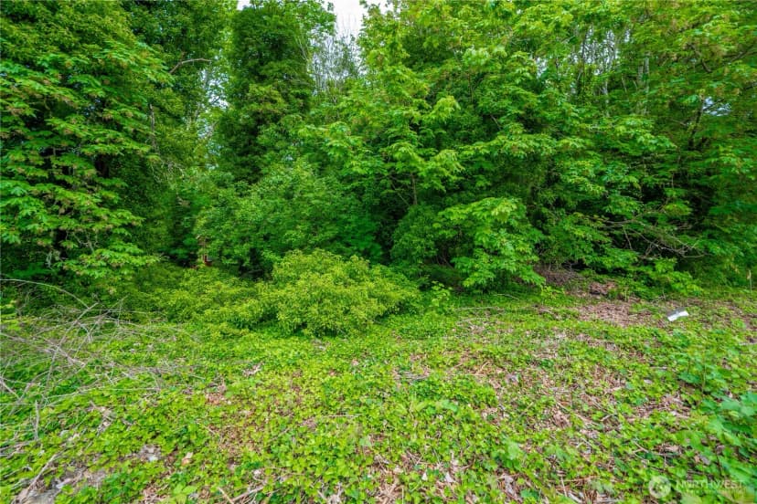 Property photo for 5445 Hyada Boulevard Ne, Tacoma photo 18