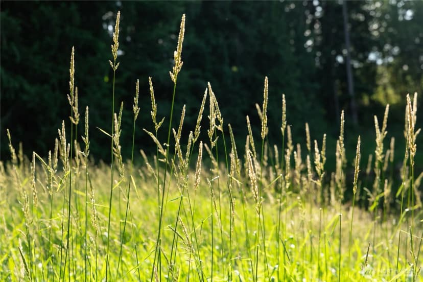 Property photo for 13317 129th Street Ne, Arlington photo 12