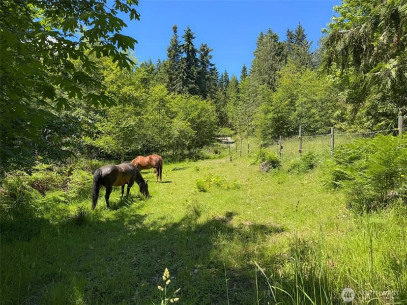 Property photo for 663 Glass Road, Port Angeles photo 32