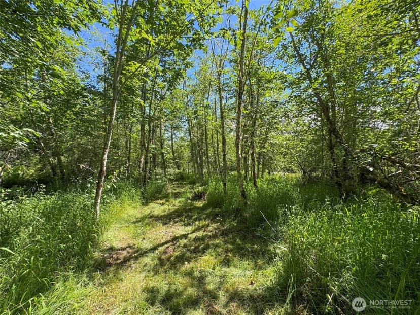 Property photo for 663 Glass Road, Port Angeles photo 36