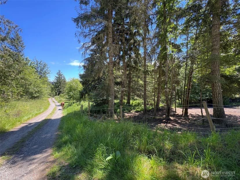 Property photo for 663 Glass Road, Port Angeles photo 27