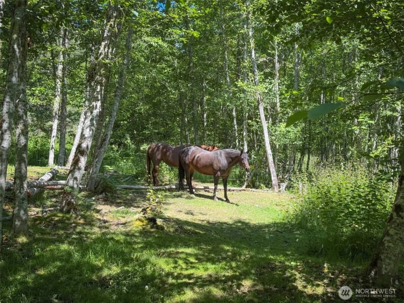 Property photo for 663 Glass Road, Port Angeles photo 33