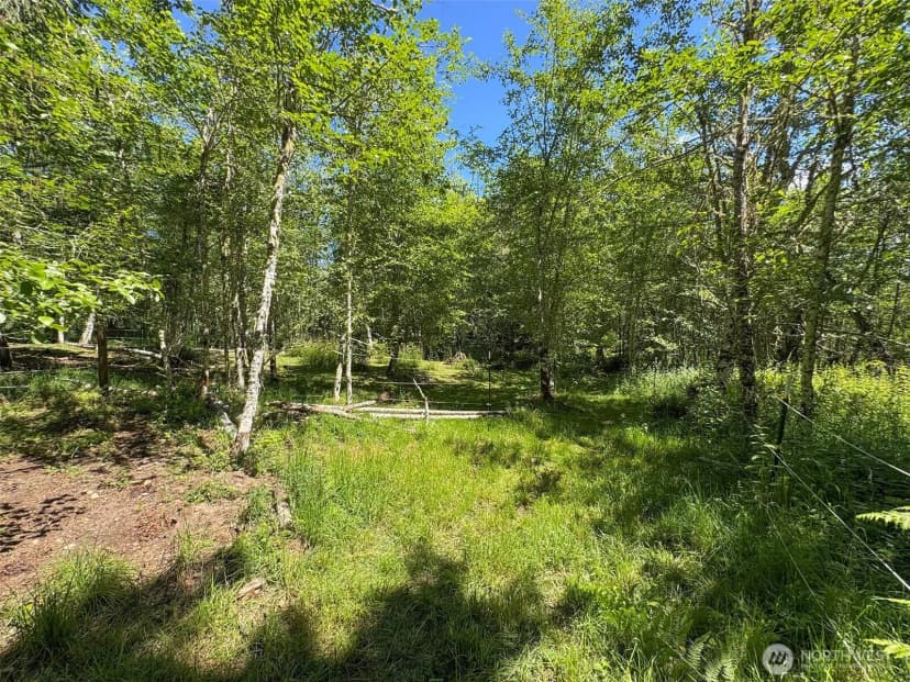 Property photo for 663 Glass Road, Port Angeles photo 34