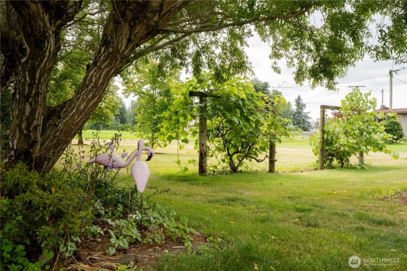 Property photo for 1724 Haveman Road, Lynden photo 34