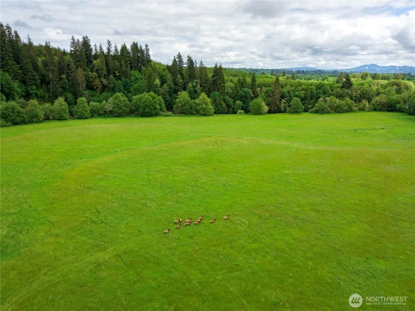 Property photo for 732 Satsop Road W, Montesano photo 28