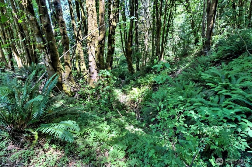 Property photo for 2461 W Deegan Road W, Shelton photo 15