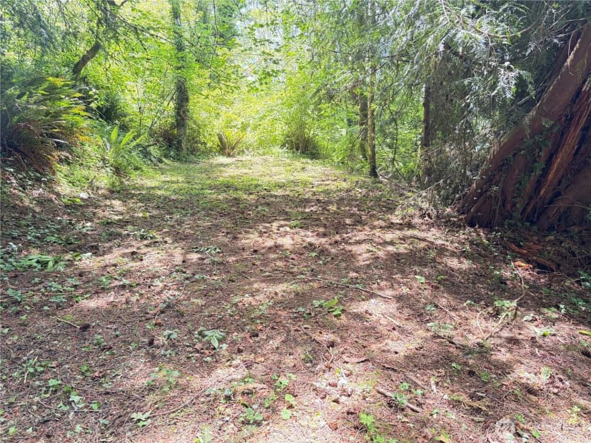 Property photo for 125 Village Road, Mossyrock photo 34