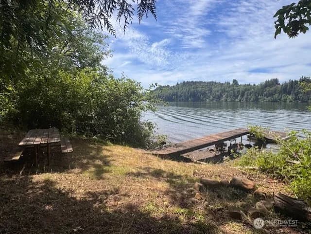 Property photo for 125 Village Road, Mossyrock photo 19
