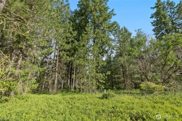 Property photo for 0 Westside Road, Cle Elum photo 2