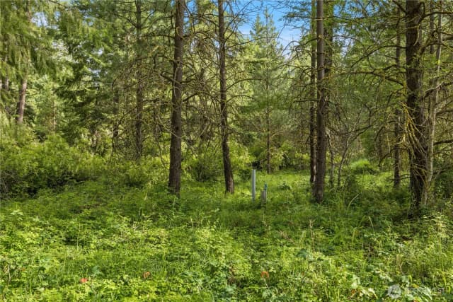 Property photo for 0 Westside Road, Cle Elum photo 5