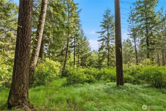 Property photo for 0 Westside Road, Cle Elum photo 3