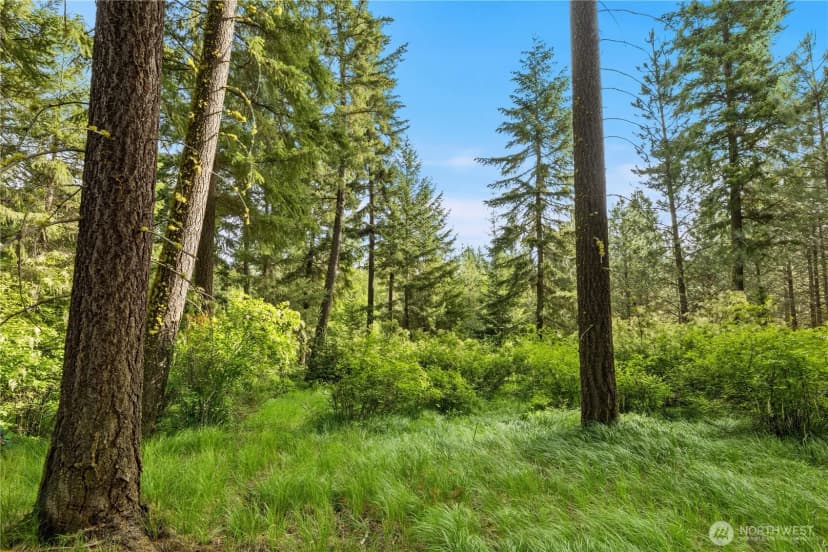 Property photo for 0 Westside Road, Cle Elum photo 3