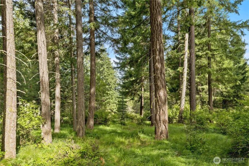 Property photo for 0 Westside Road, Cle Elum photo 6