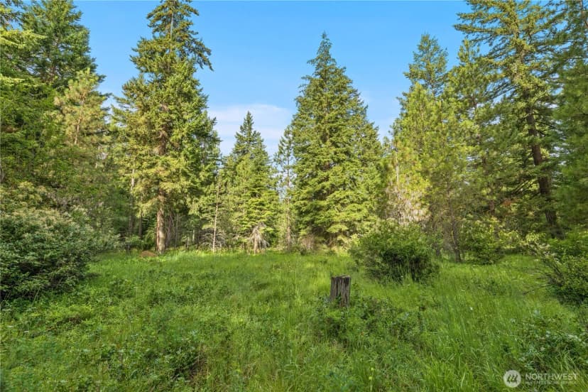 Property photo for 0 Westside Road, Cle Elum