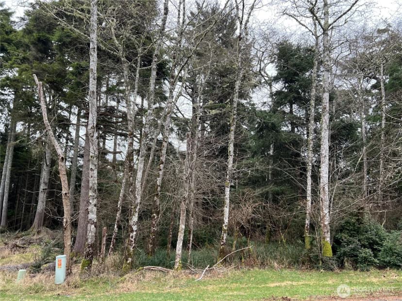 Property photo for 314 Lake View Loop Ne, Ocean Shores