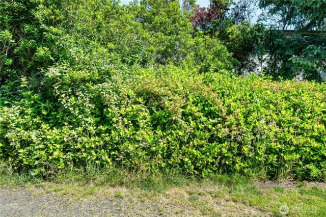 Property photo for 360 Ocean Shores Boulevard Sw, Ocean Shores photo 4