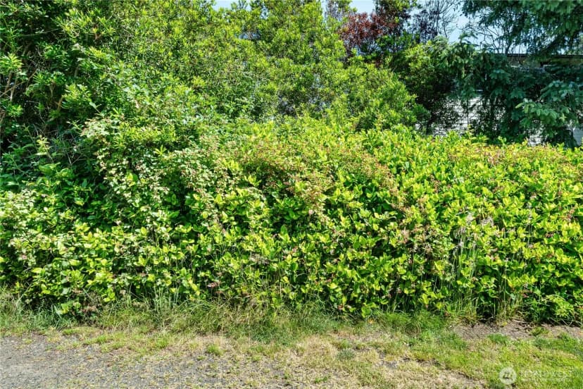 Property photo for 360 Ocean Shores Boulevard Sw, Ocean Shores photo 4