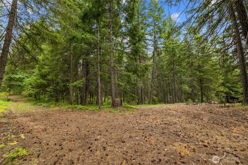 Property photo for 16341 Salmon La Sac Road, Ronald photo 35