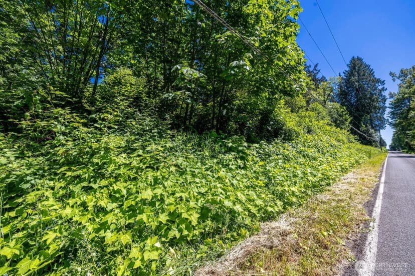 Property photo for 18901 Welch Road, Snohomish photo 13