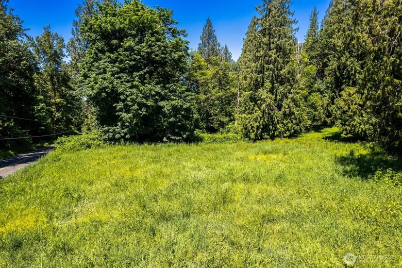 Property photo for 18901 Welch Road, Snohomish photo 6