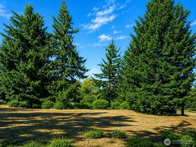Property photo for 601 Kretschman, Cle Elum photo 3