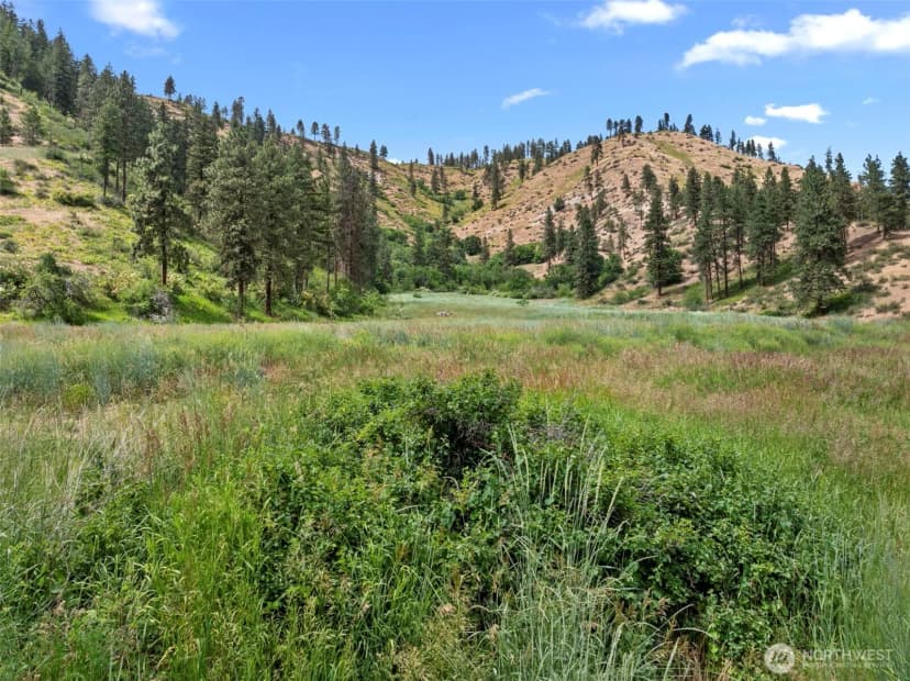 Property photo for 82 67 Karl Downs Lane, Cashmere photo 22