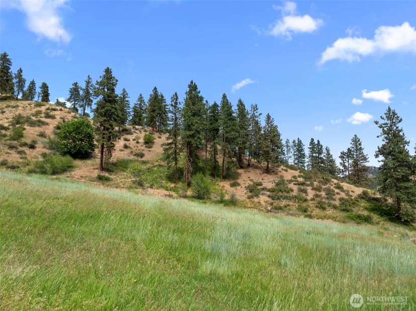 Property photo for 82 67 Karl Downs Lane, Cashmere photo 24